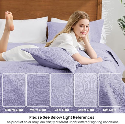 Love's cabin King Size Quilt Bedding Set Lavender Bedspreads - Bed Lightweight Bedspread Comforter - Coin Pattern Bedding Coverlet for All Season - 3 Pieces (1 Quilt, 2 Pillow Shams)