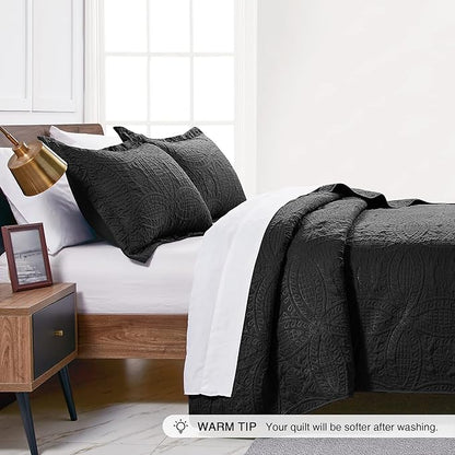 Love's cabin Quilts for Queen Bed Black Bedspreads - Soft Bed Fall Lightweight Bedspread Comforter - Modern Style Coin Pattern Coverlet for All Season - 3 Pieces (1 Quilt, 2 Pillow Shams)