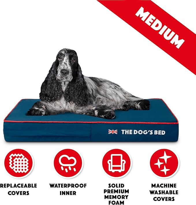 The Dog’s Bed Orthopedic Memory Foam Dog Bed Mattress, Oxford Fabric, Blue with Red Trim, M, 4-Inch