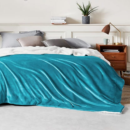 Bedsure GentleSoft Sherpa Fleece Blankets Queen Size for Bed - Thick and Warm Throw for Women and Men, Soft Fuzzy Plush Queen Blanket for Winter, Non-Heated, Teal, 90x90 Inches