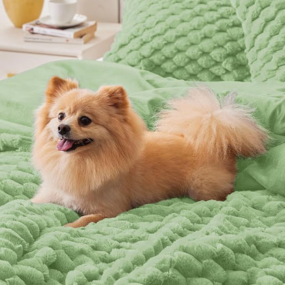 BEDELITE Fluffy Twin Comforter Set - Grass Green Fleece Soft Comforter for Twin Size Bed, Luxury Warm Bedding Set for Winter, Fuzzy Bed Set 2 Pieces (1 Comforter, 1 Pillowcase)