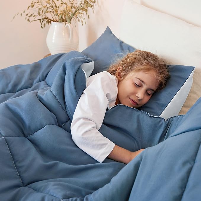 Exclusivo Mezcla Lightweight Reversible King Size Comforter Set, Down Alternative Comforter with 2 Pillow Sham, King Size Bedding Set for All Seasons, Bluish Grey