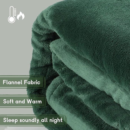 Heated Blanket Electric Blanket Queen Size 84''x90'' with 5 Heating Levels, 10 Hour Auto Shut Off, Machine Washable, Dual Controller Soft Warming Blanket for Couch, Bed, Office - Grass Green