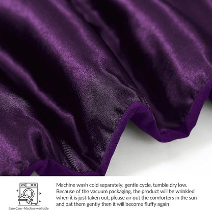 Whale Flotilla 2-Piece Reversible Silky Soft Twin Size Comforter Bedding Set, Luxurious Satin Comforters with Satin Pillowcase, Lightweight Duvet for All Seasons, Purple
