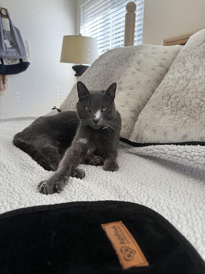 Sherpa Dog & Cat Blanket – Cozy Soft Fleece Comfort for Your Furry Family