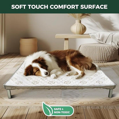 FXW TitanNest Chew-Proof Elevated Dog Bed, Raised Cot for Indoor/Outdoor/Camping Use, Durable & Washable Padded Pet Bed with Exclusive Cover for Toy Dogs, 24.0" L x 20.0" W x 4.1" H, Gray