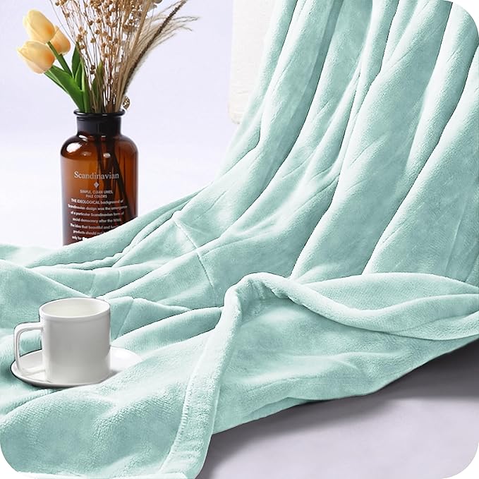 Electric Heated Blanket King Size 90"×100", Comfortable & Luxurious Flannel, 4 Heating Levels & 10 H Auto Shut Off, Mint Green