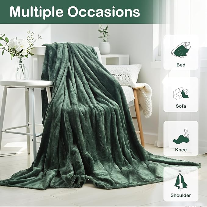 Electric Heated Blanket Queen Size 84"x90", Soft Plush Microplush for Bed, Dual Controllers & Heating Zones, 10Hs Auto Off & 4 Heating Levels, Machine Washable, Gifts for Family-Sage Green