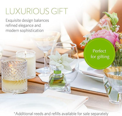 AGRARIA PetiteEssence Flower and Reed Diffuser Set, Hand Crafted Sola Flower Botanical Home Fragrance Set, Scented Oil Gift for All Occasions