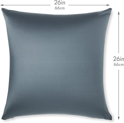 PILLOWY 26"x26" Throw Pillow - Dark Slate Grey: 1Pcs Luxurious Premium Microbead Pillow with 85/15 Nylon/Spandex Fabric. Forever Fluffy, Outstanding Beauty & Support. Silky, Soft & Beyond Comfortable