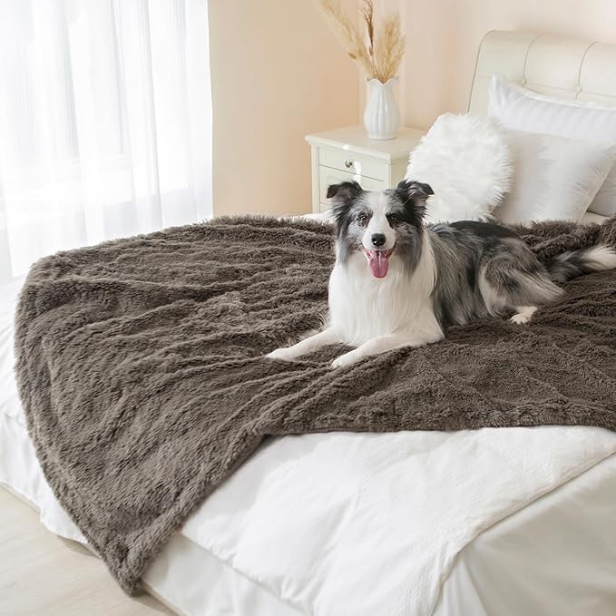 gogobunny Waterproof Dog Blanket for Couch & Furniture Protection - Super Soft Reversible Throw for Large Dogs & Cats, Calming Washable Fur & Sherpa Pet Blanket (50x60 Inch, Stone)