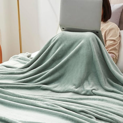 Hansleep Fleece Celadon Queen Blanket, Super Soft Flannel Fuzzy Plush Cozy Blanket for All Seasons, Celadon, Queen 90x90 Inches