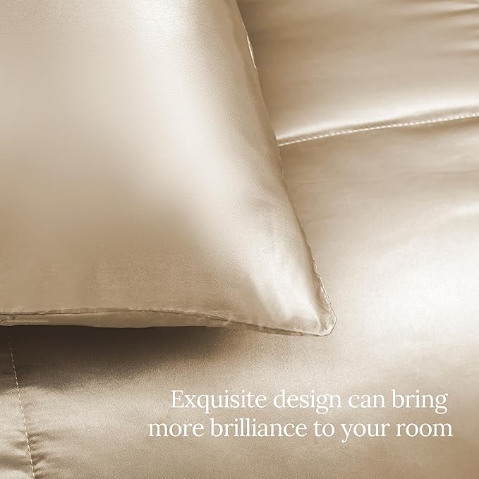 Whale Flotilla 2-Piece Reversible Silky Soft Twin Size Comforter Bedding Set, Luxurious Satin Comforters with Satin Pillowcase, Lightweight Duvet for All Seasons, Champagne