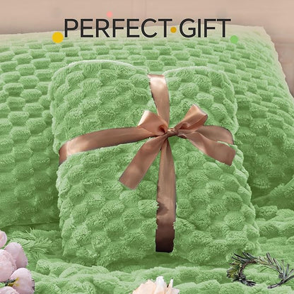 BEDELITE Fluffy Queen Comforter Set - Grass Green Fleece Soft Comforter for Queen Size Bed, Luxury Warm Bedding Set for Winter, Fuzzy Bed Set 3 Pieces (1 Comforter, 2 Pillowcases)