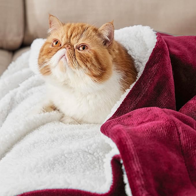 Bedsure GentleSoft Sherpa Fleece Throw Blanket Twin Size for Couch - Thick and Warm Throw for Girls and Women, Soft Fuzzy Plush Twin Christmas Blanket for Winter, Non-Heated, Red, 60x80 Inches