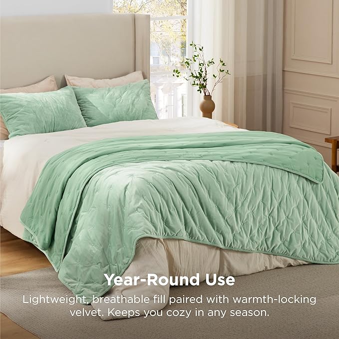Bedsure Velvet Fleece Comforter Set Queen, Sage Green Lightweight Quilted Bedding Set, Soft Warm Blanket for All Season, 3 Pieces, 1 Comforter (90" x 90") and 2 Pillow Shams (20" x 26")