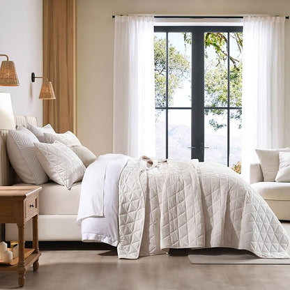 Homzard Velvet Quilt Set Queen Size Bedding Set, Cream White Velvet Comforter, Luxury Bedspreads Queen Size, Cream White Bedding,Soft Lightweight Quilts for All Season