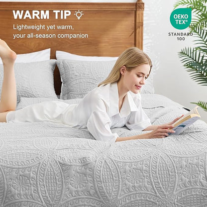 Love's cabin Quilts for Full Bed Light Grey Bedspreads Bedding Set - Lightweight Bedspread Comforter - Coin Pattern Bedding Coverlet for All Season - 3 Pieces (1 Quilt, 2 Pillow Shams)