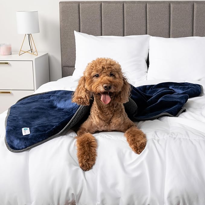 PetAmi Waterproof Dog Blanket Sherpa Fleece, Pet Small Medium Dogs, Reversible Large Cat Throw Bed Couch Sofa Furniture Protector, Soft Plush Microfiber (Medium 29x40, Blue/Gray), Navy/Gray