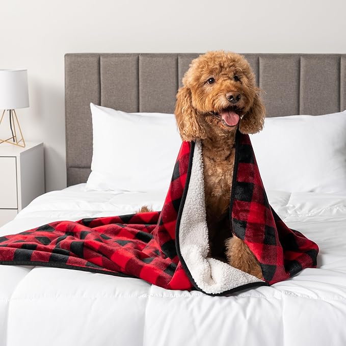 PetAmi Waterproof Dog Blanket Sherpa Fleece, Pet for Medium Large Dogs, Reversible Cat Throw Bed Couch Sofa Furniture Protector, Soft Plush Microfiber (X-Large 60x80, Checker Red) Checkered Red