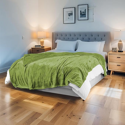Electric Heated Blanket 84"x90" Queen Size Flannel Heated Blanket, Cozy & Warm for All Night, 5 Heat Settings & 10 Hours Auto Off, Machine Washable, Light Grass Green