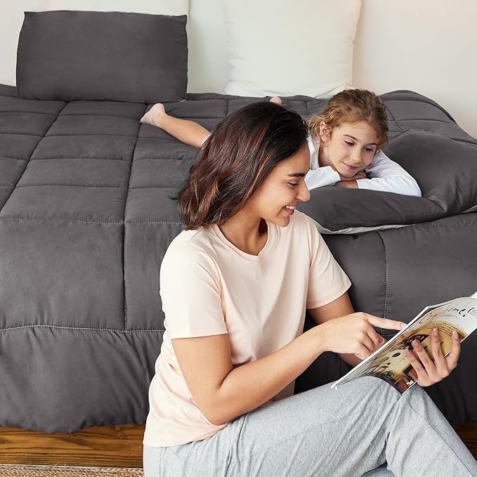 Exclusivo Mezcla Lightweight Reversible Full Queen Size Comforter Set, Down Alternative Comforter with 2 Pillow Sham, Full Queen Size Bedding Set for All Seasons, Grey