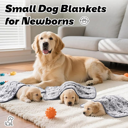 Stuffed 3 Pcs Soft Dog Blankets for Small Dogs Newborn, Washable Puppy Blanket for Cat Kitten Essentials, 24 * 16 Inches, Grey Cute Paw Print