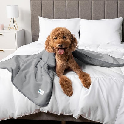 PetAmi Waterproof Dog & Cat Blanket for Medium Large Pets, Reversible Pee Proof for Bed, Couch Indoor, Soft Washable, 60x80 Light Gray