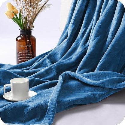 Electric Heated Blanket Twin Size 62"×84", Breathable & Luxurious Flannel, Soft Warm Gift with Over-Heat Protection, 4 Heating Levels & 10 H Auto Shut Off, Machine Washable, Lake Blue