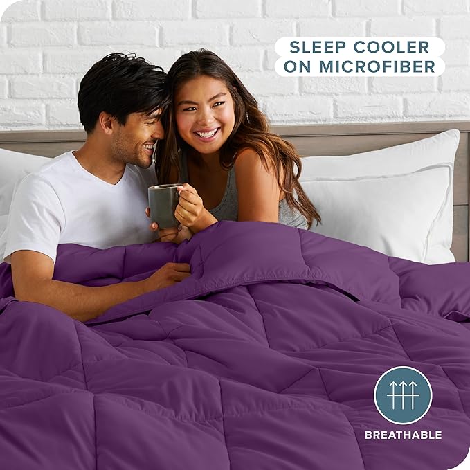 Bare Home Comforter Set - Queen Size - Ultra-Soft - Goose Down Alternative - Premium 1800 Series - All Season Warmth (Queen, Plum)