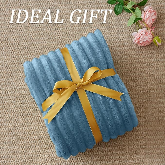 BEDELITE Fleece Throw Blanket for Couch - 300GSM Soft & Warm Fluffy Light Blue Blanket, Decorative and Giftable Striped Blankets for Women, Men, 50"x60"