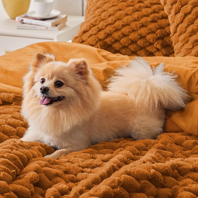 BEDELITE Fluffy Queen Comforter Set - Burnt Orange Fleece Soft Comforter for Queen Size Bed, Luxury Warm Bedding Set for Winter, Fuzzy Bed Set 3 Pieces (1 Comforter, 2 Pillowcases)