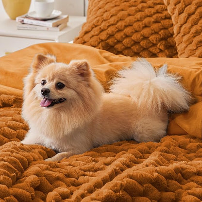 BEDELITE Fluffy Queen Comforter Set - Burnt Orange Fleece Soft Comforter for Queen Size Bed, Luxury Warm Bedding Set for Winter, Fuzzy Bed Set 3 Pieces (1 Comforter, 2 Pillowcases)