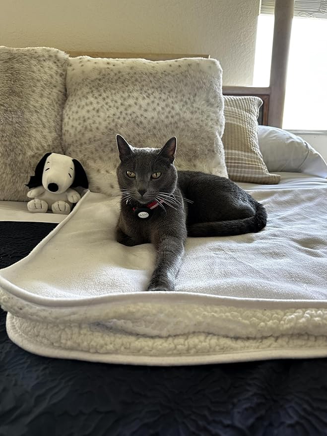 Sherpa Dog & Cat Blanket, Cozy Ultra-Soft Fleece Comfort for Your Furry Family