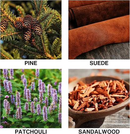 Wildwood Reed Diffuser – Home Fragrance Diffuser with Pine, Suede, Patchouli & Sandalwood – Long Lasting Diffusers for Home Scented Aroma Sticks – 150ml