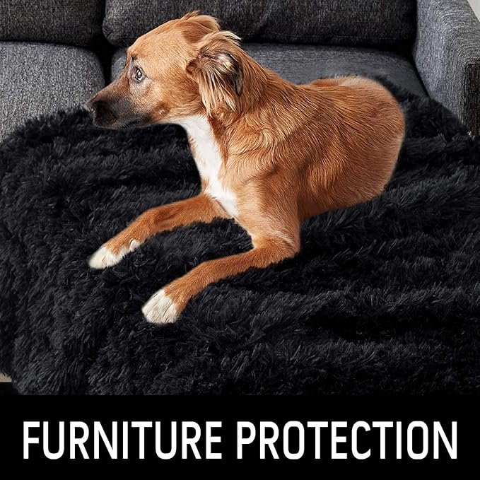 LOCHAS Luxury Fluffy Dog Blanket, Extra Soft and Warm Sherpa Fleece Pet Blankets for Dogs Cats, Plush Furry Faux Fur Puppy Throw Cover, 30''x40'' Black