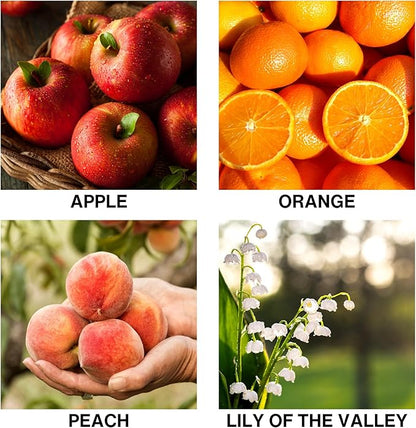 Lush Orchard Aromatherapy Diffuser – Reed Diffusers for Home with Apple, Orange, Long-Lasting Essential Oil Scent – 50ml