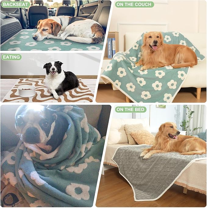 BEAUTYZOO Waterproof Dog Blankets for Small Dogs Washable- Reversable Dog Blanket for Furniture, Sofa, Couch, Crate, Car- Soft Sherpa Dog Throw Plush Pet Bed Blanket Cat Puppy Kitten, 24"x32" Brown