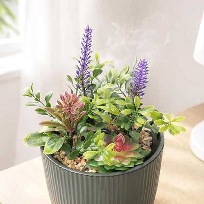 Earnest Living Essential Oil Diffuser Ceramic Artificial Succulent Plants Potted Diffuser 100 ml for Lavender Essential Oils Timers Night Lights and Auto Off Humidifier Aromatherapy Diffusers for Gift
