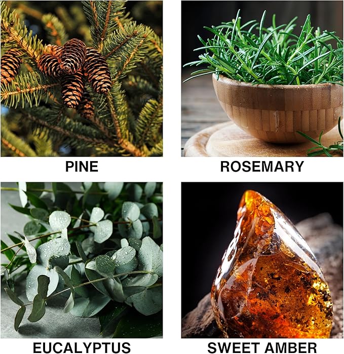 Reed Diffuser Misty Pines Scent, Luxury Reed Diffuser with Pine, Eucalyptus & Amber, Long-Lasting, Natural Aromatherapy Scent for Home, Office, or Bedroom – 50ml