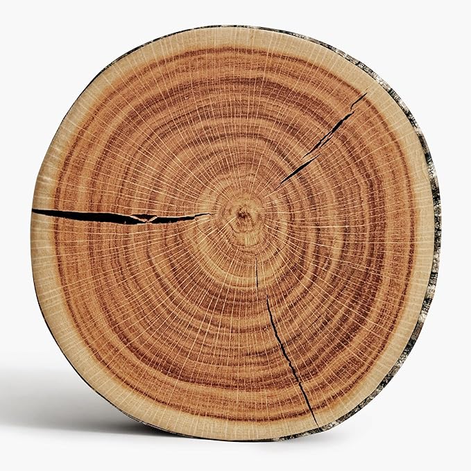 HYSEAS Decorative Round Throw Pillow, 3D Digital Print Comfortable Kids Funny Cute Wood Log Pillow Circle Seating Floor Cushion for Home, Couch, Sofa, Bedroom, Living Room, Stump, 16 x 2.75 Inch