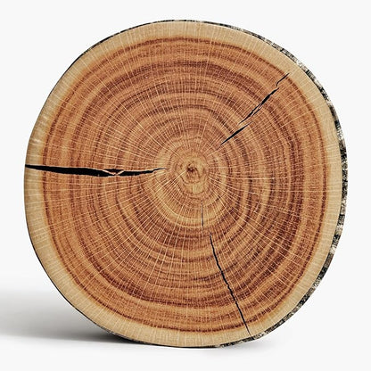 HYSEAS Decorative Round Throw Pillow, 3D Digital Print Comfortable Kids Funny Cute Wood Log Pillow Circle Seating Floor Cushion for Home, Couch, Sofa, Bedroom, Living Room, Stump, 16 x 2.75 Inch