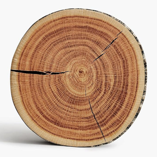 HYSEAS Decorative Round Throw Pillow, 3D Digital Print Comfortable Kids Funny Cute Wood Log Pillow Circle Seating Floor Cushion for Home, Couch, Sofa, Bedroom, Living Room, Stump, 16 x 2.75 Inch