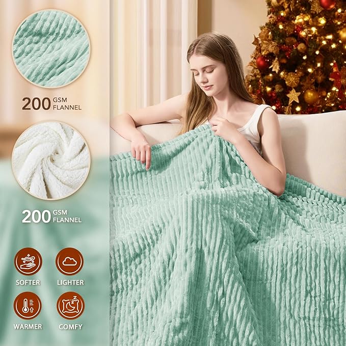 Homemate Electric Heated Blanket Queen Size - 84"x90" Heating Blanket Queen Size Dual Control 1/2/4/6/8 Hours Auto-Off 10 Heat Level Over-Heat Protection Soft Flannel Sherpa ETL Certification