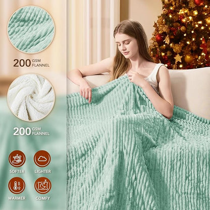 Homemate Electric Heated Blanket Queen Size - 84"x90" Heating Blanket Queen Size Dual Control 1/2/4/6/8 Hours Auto-Off 10 Heat Level Over-Heat Protection Soft Flannel Sherpa ETL Certification