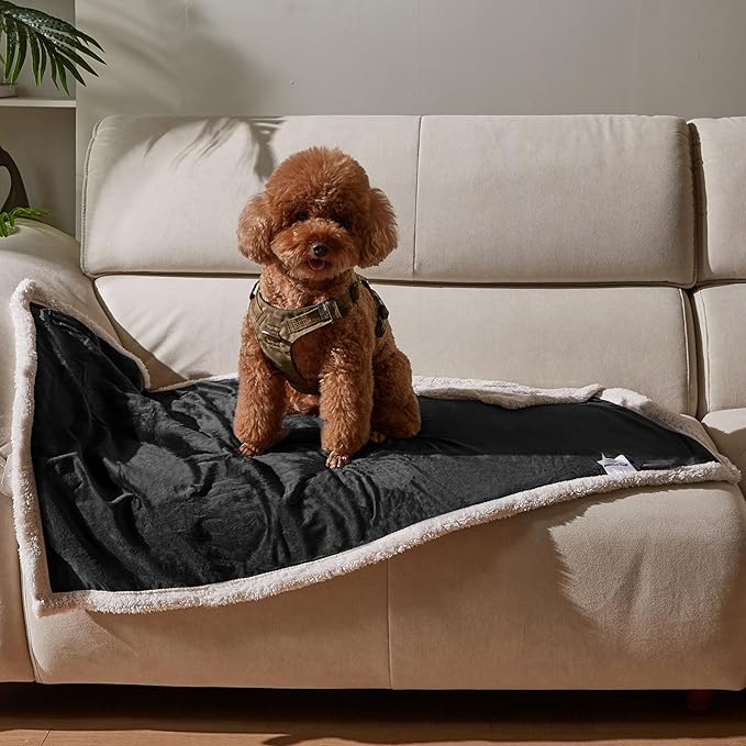 Kritter Planet Dog Blankets for Small Dogs, Soft Puppy Blanket, Pet Blankets for Cats, Lightweight & Washable, Perfect for Dog Beds, Car Seats, Creat, 30x40 inches