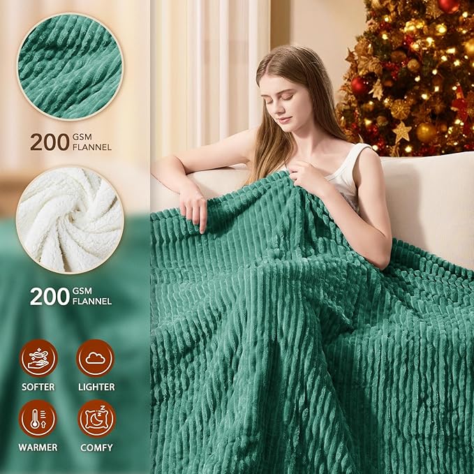 Homemate Electric Heated Blanket Full Size - 72"x84" Heating Blanket Full Size 1/2/4/6/8 Hours Auto-Off 10 Heat Level Over-Heat Protection Soft Flannel Sherpa ETL Certification