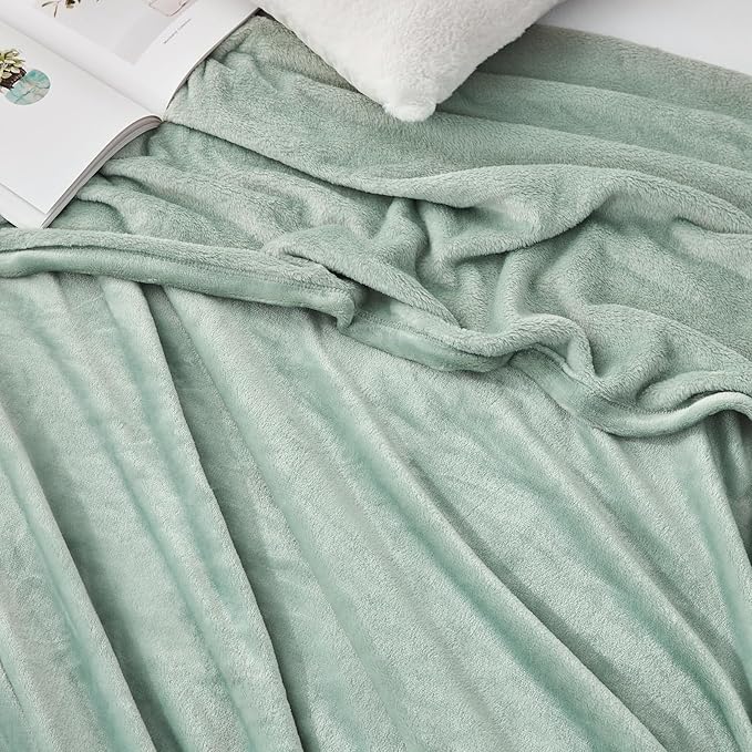 Hansleep Fleece Celadon Queen Blanket, Super Soft Flannel Fuzzy Plush Cozy Blanket for All Seasons, Celadon, Queen 90x90 Inches