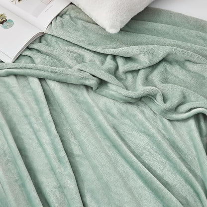 Hansleep Fleece Celadon Queen Blanket, Super Soft Flannel Fuzzy Plush Cozy Blanket for All Seasons, Celadon, Queen 90x90 Inches