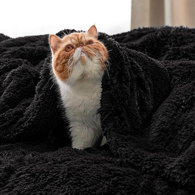 Bedsure GentleSoft Fuzzy Sherpa Faux Fur Twin Blanket Black Cozy Gifts for Women Men, Soft Fleece Plush Warm Minky Thick Blanket Twin Size for Bed, Couch, Dorm Essentials Black Decor Gifts, 60x80